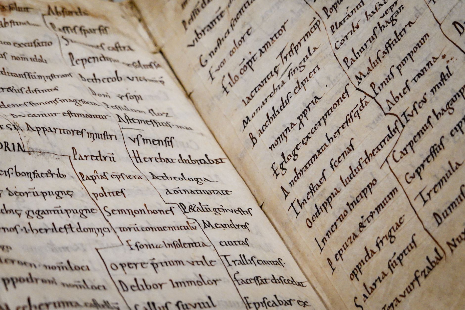medieval parchment DNA