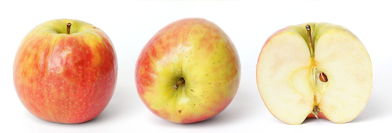 Apple new product launch